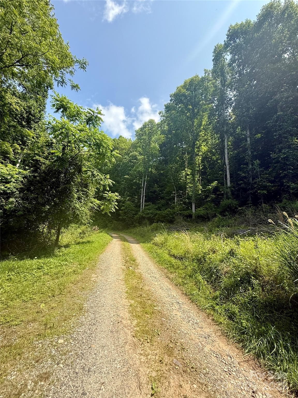 Gravel road is not steep - 700 Wooded Mountain Trail, Mars Hill