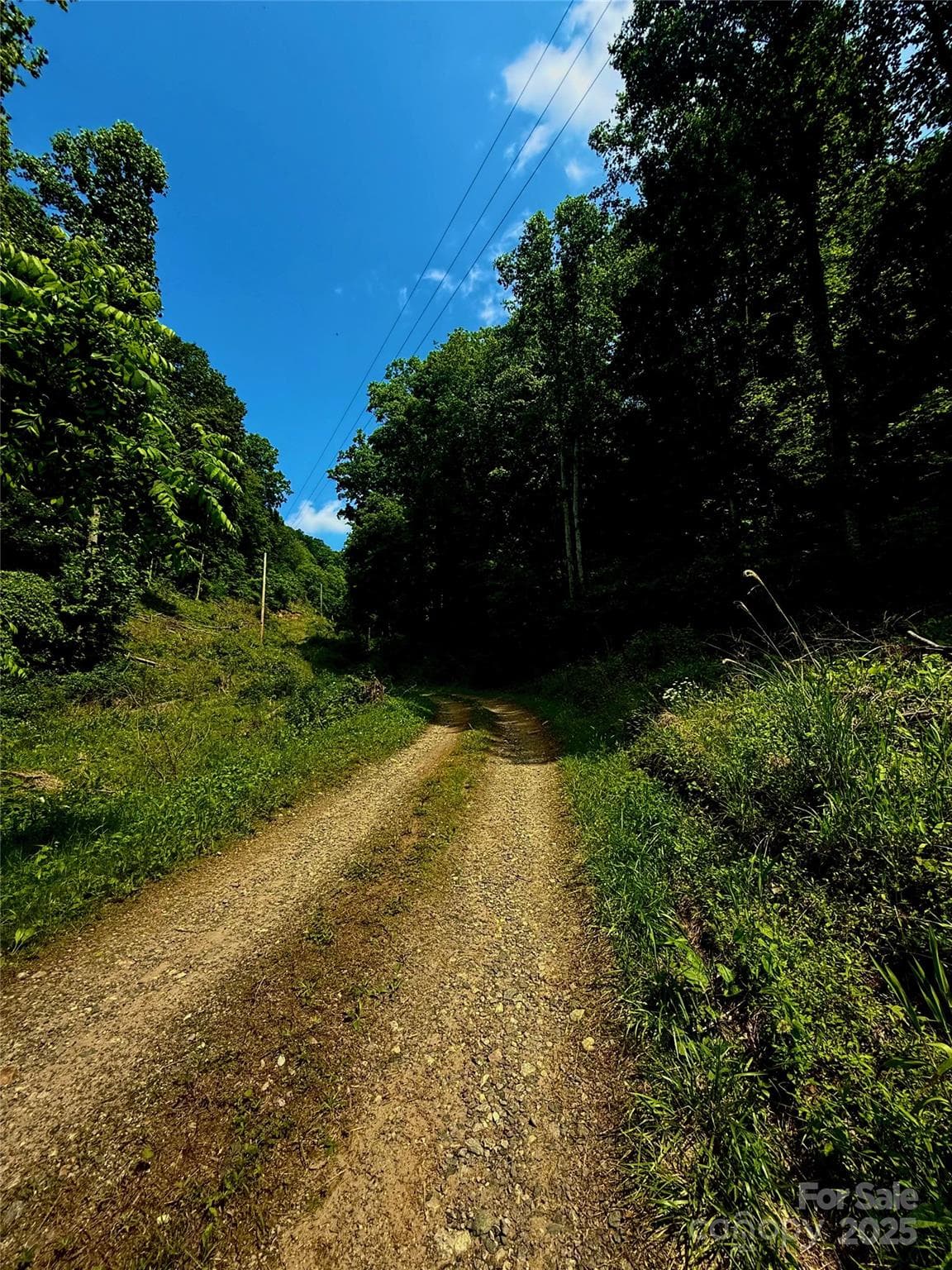 Acreage at Mars Hill, photo 7 of 13