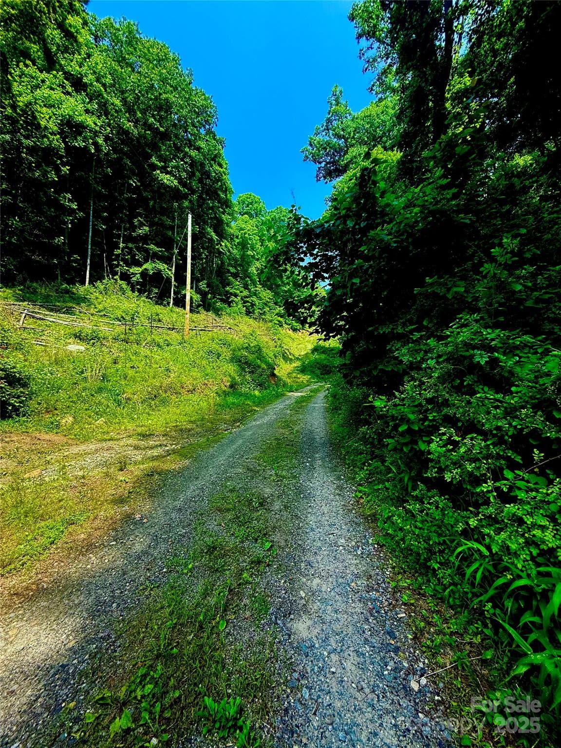 Acreage at 700 Wooded Mountain Trail, Mars Hill, photo 11 of 13