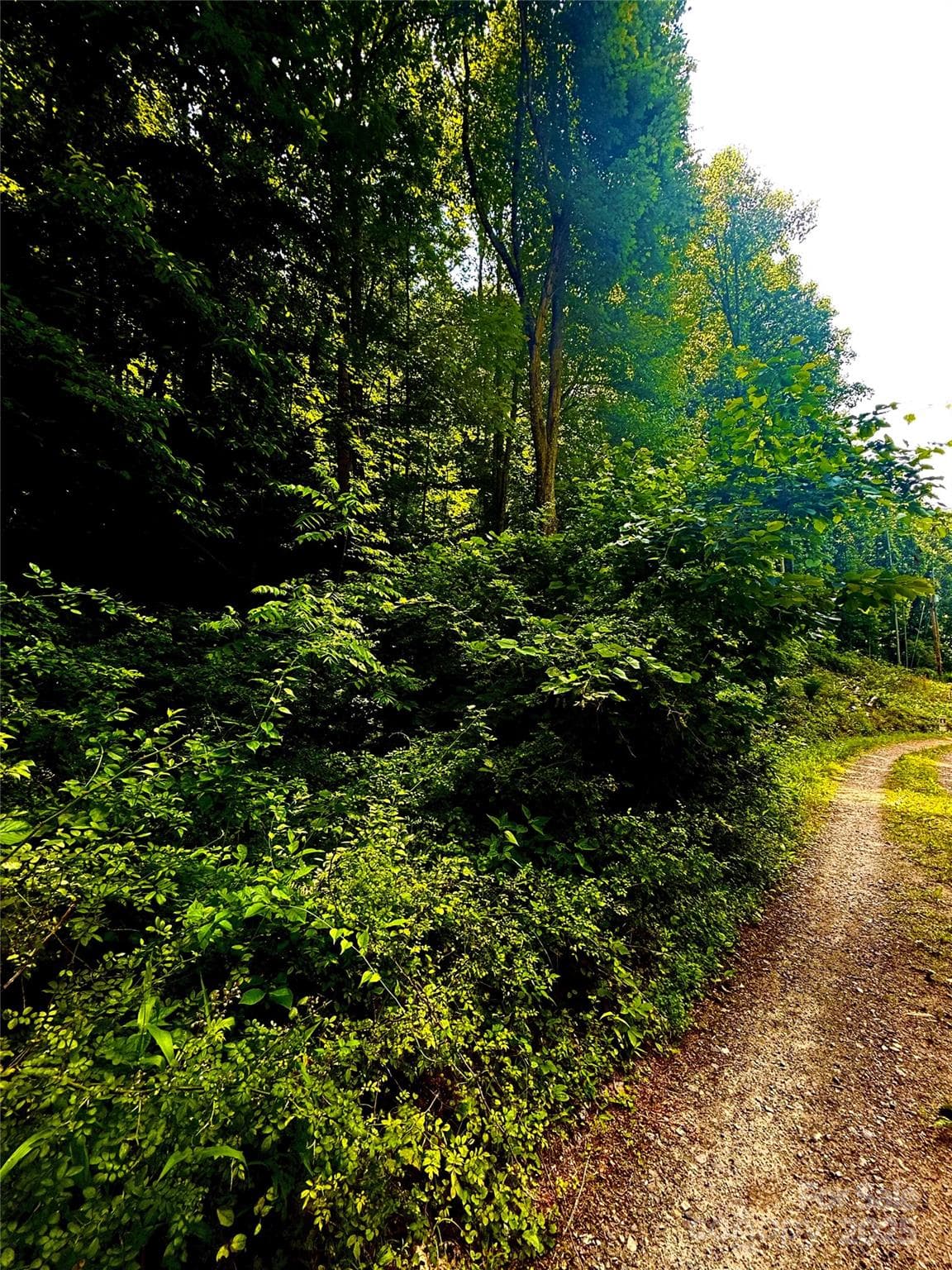 Acreage at 700 Wooded Mountain Trail, Mars Hill, photo 12 of 13