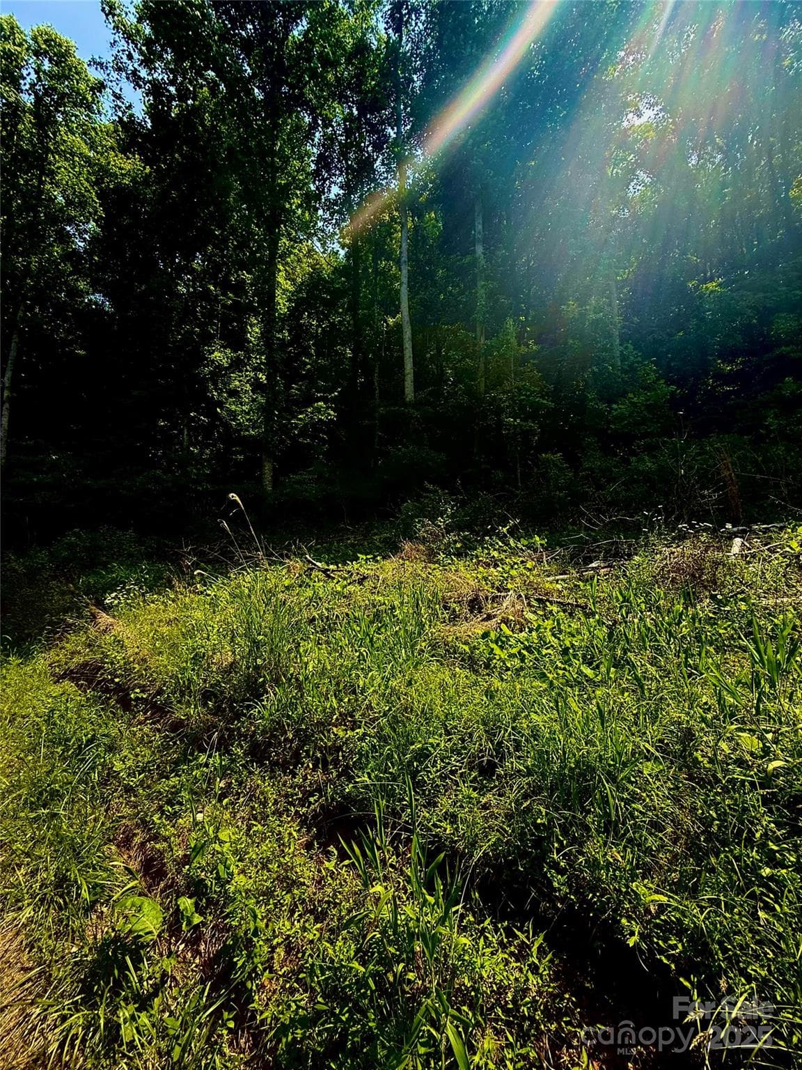 Acreage at 700 Wooded Mountain Trail, Mars Hill, photo 13 of 13
