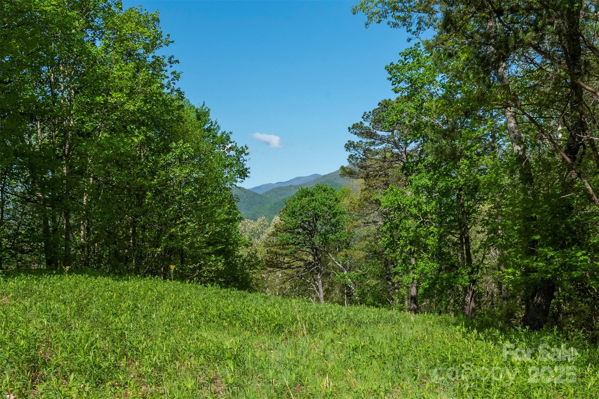 Acreage at 000 Thousand Oaks Drive, Old Fort, photo 6 of 10