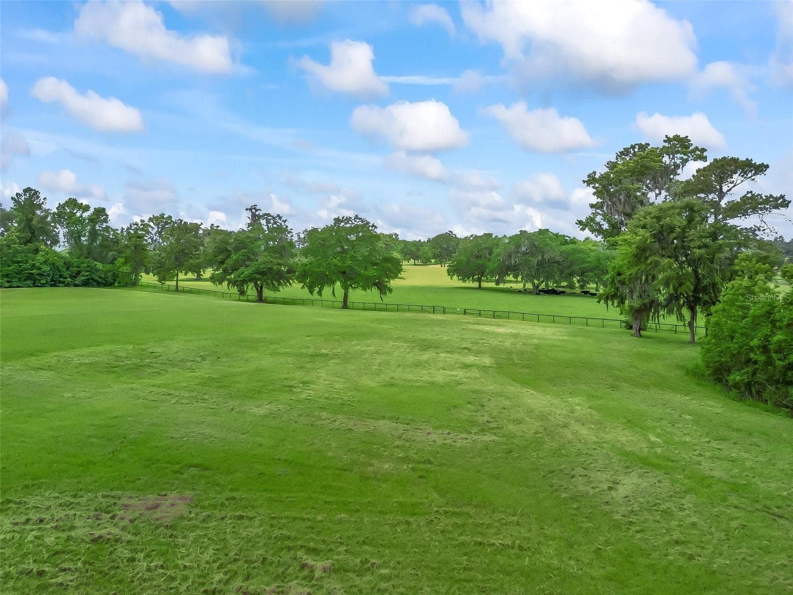 Land at 4698 NW 84TH TER NW, OCALA, photo 9 of 14
