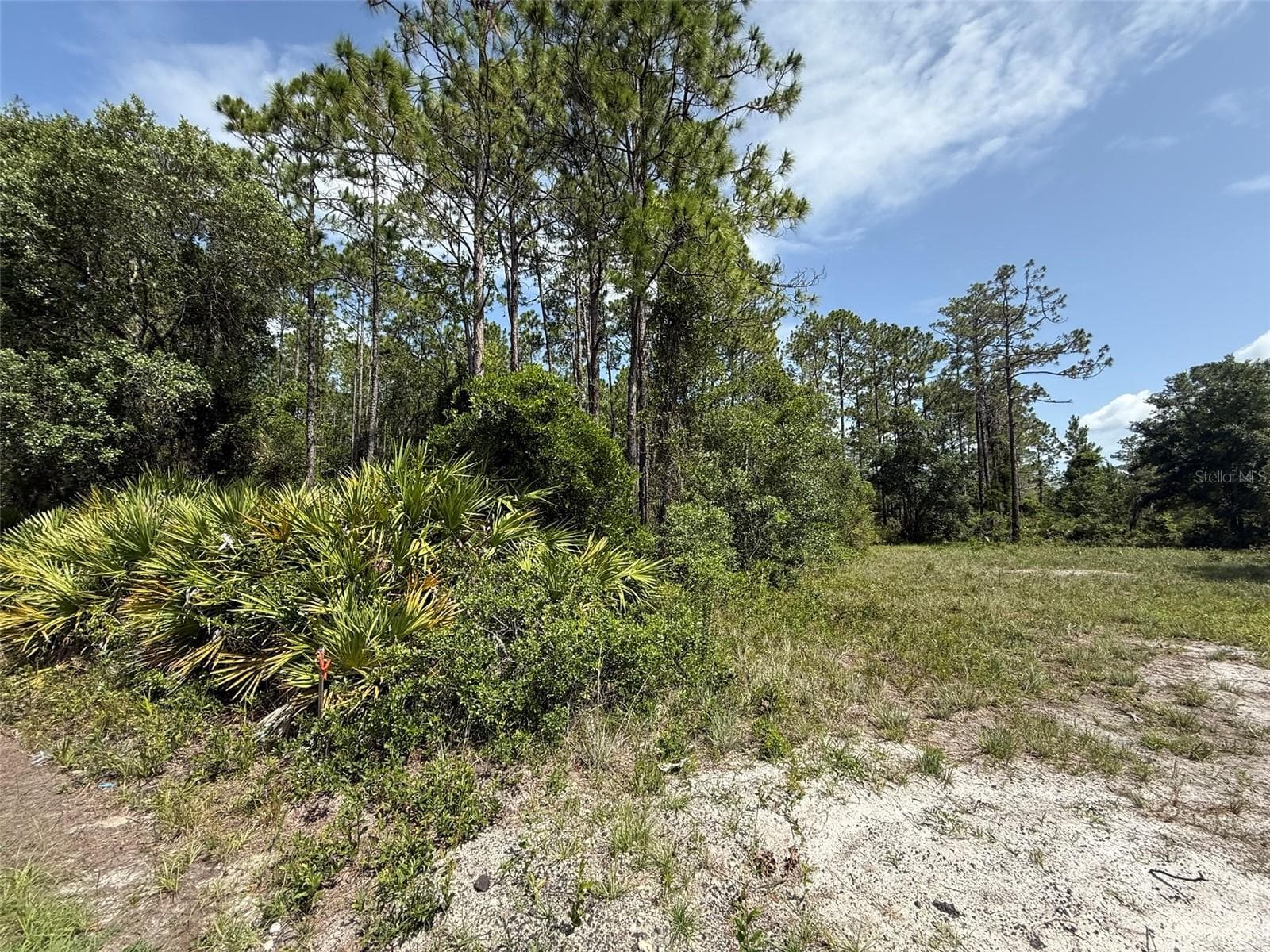 174 MILLICAN RD