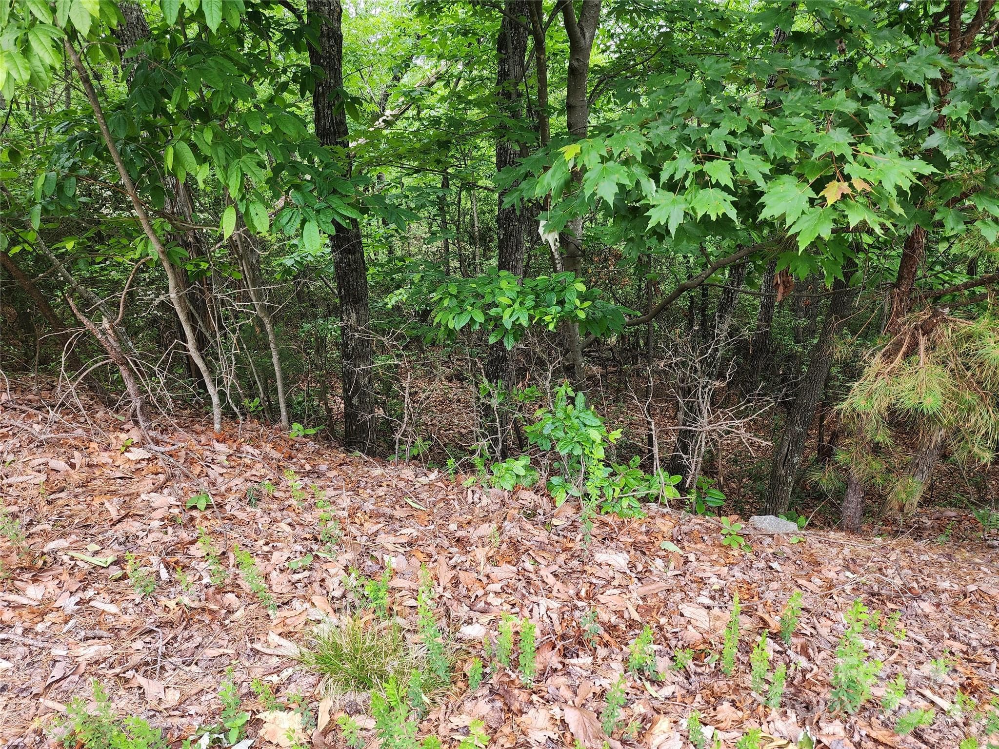 Lot at Chestnut Mountain Farms, McGrady, photo 4 of 16