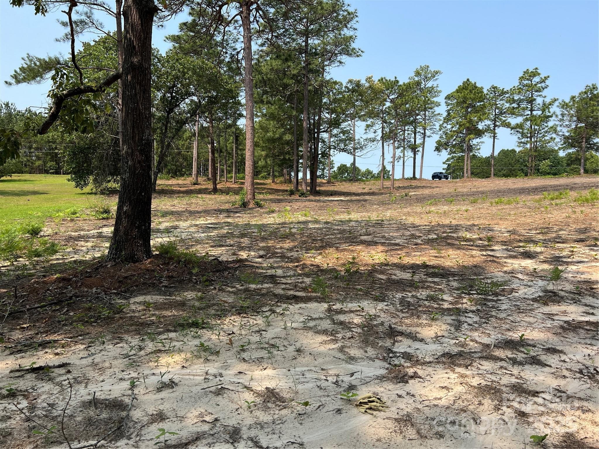 Lot at Hartsville, photo 3 of 24