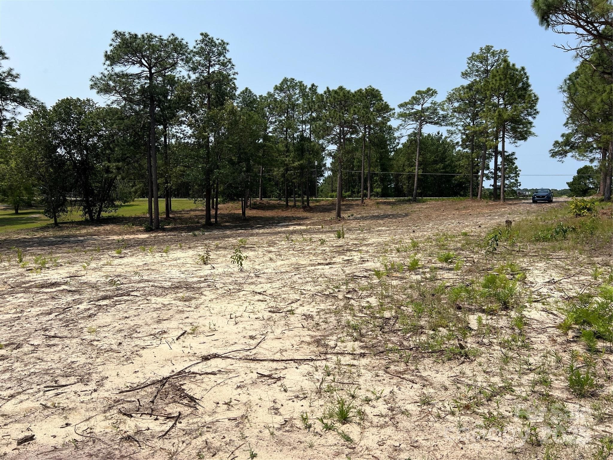 Lot at Hartsville, photo 4 of 24
