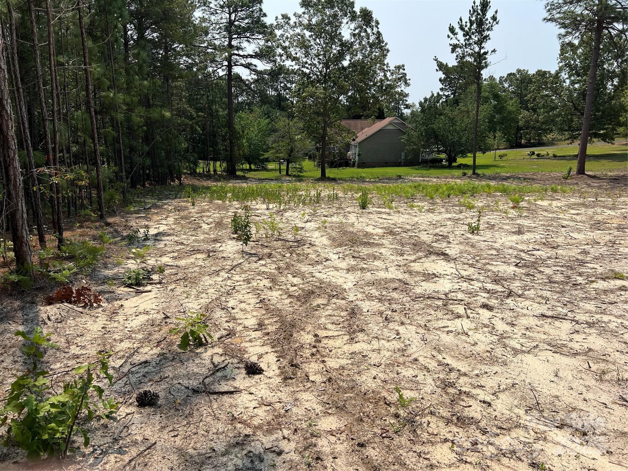 Lot at Hartsville, photo 5 of 24