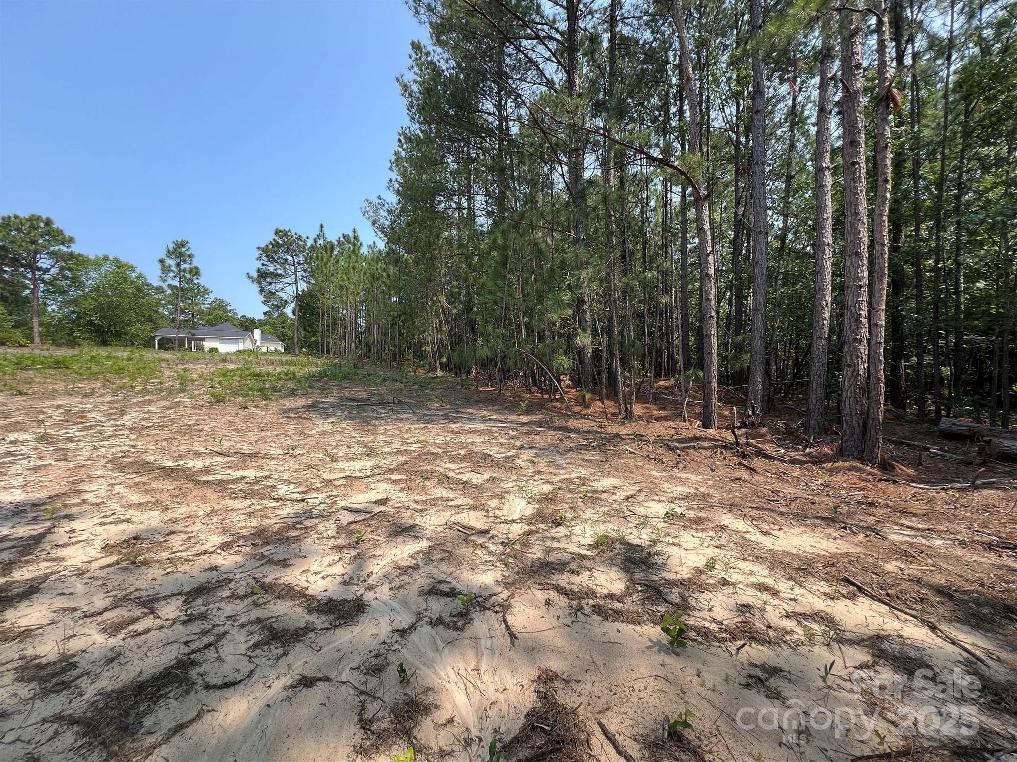 Lot at Hartsville, photo 6 of 24