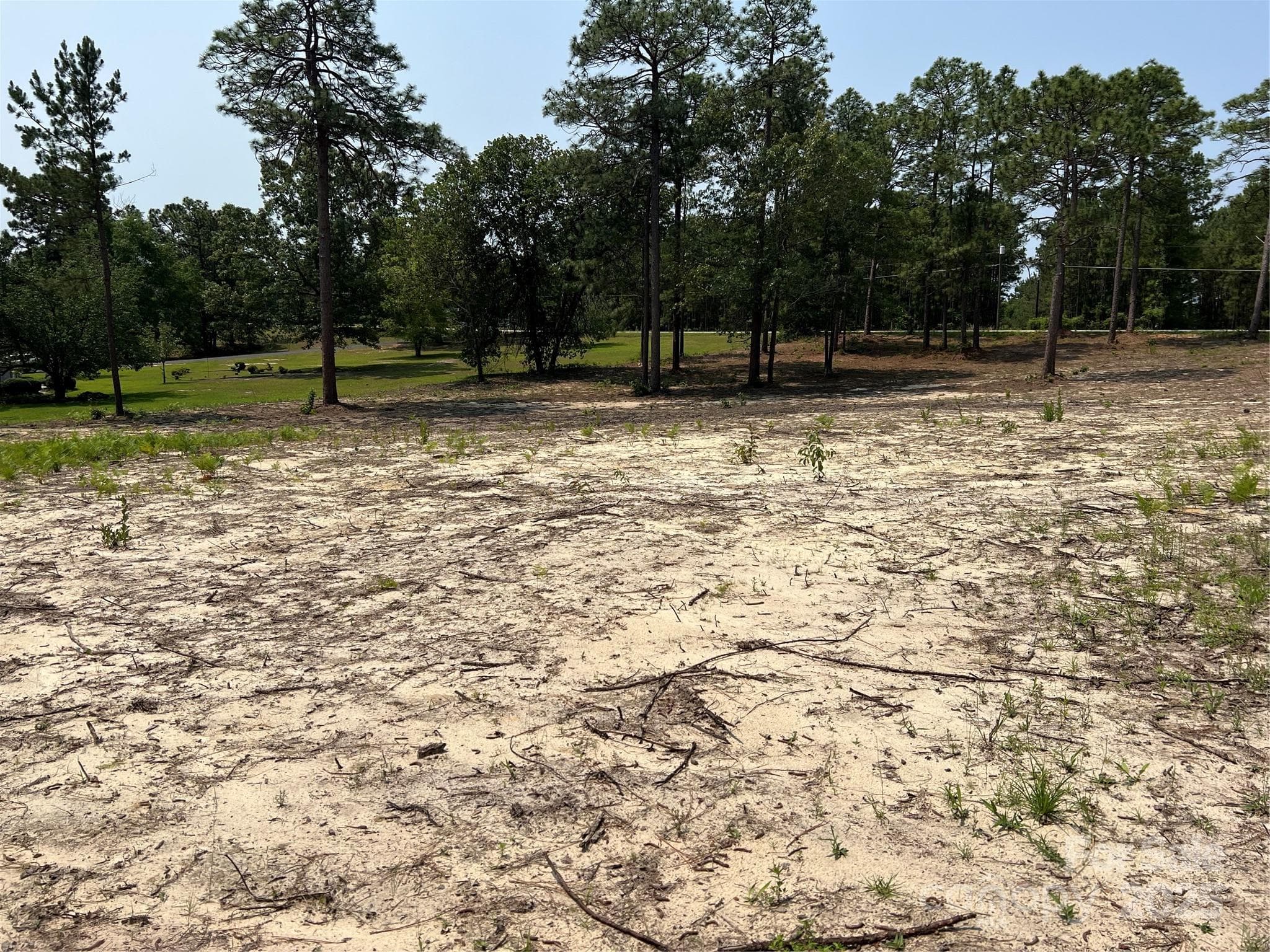 Lot at Hartsville, photo 7 of 24