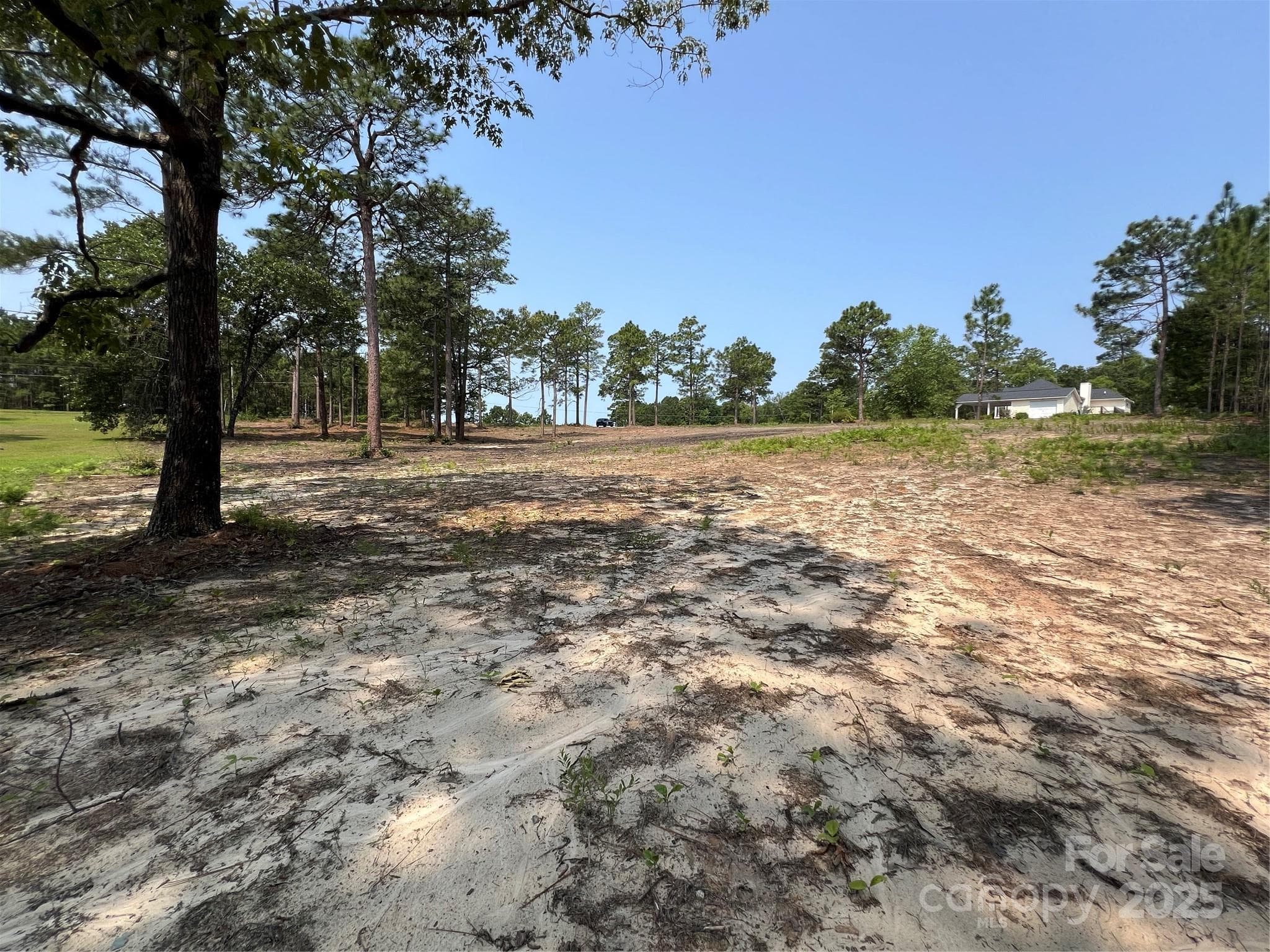 Lot at Hartsville, photo 8 of 24