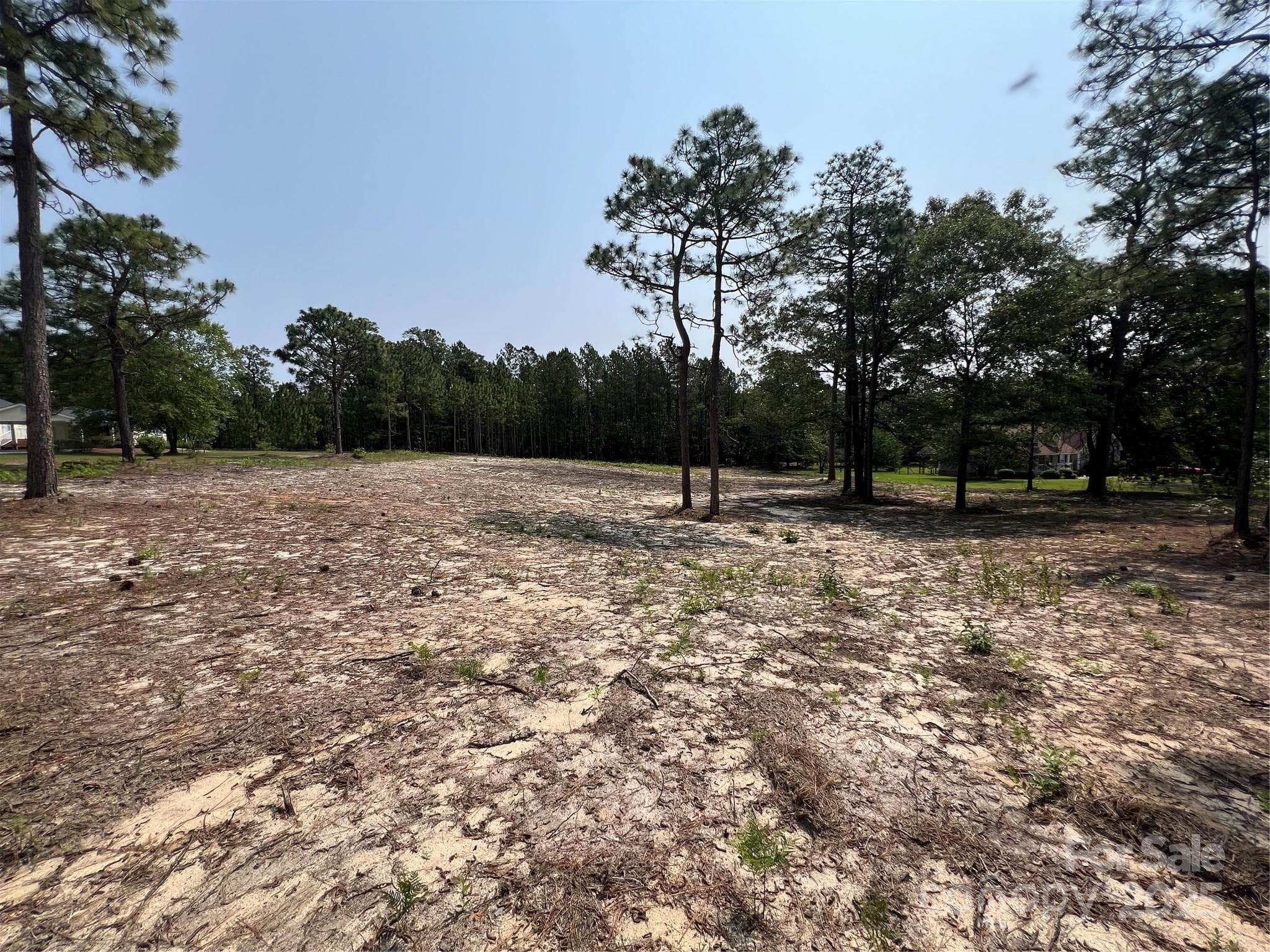 Lot at Hartsville, photo 10 of 24