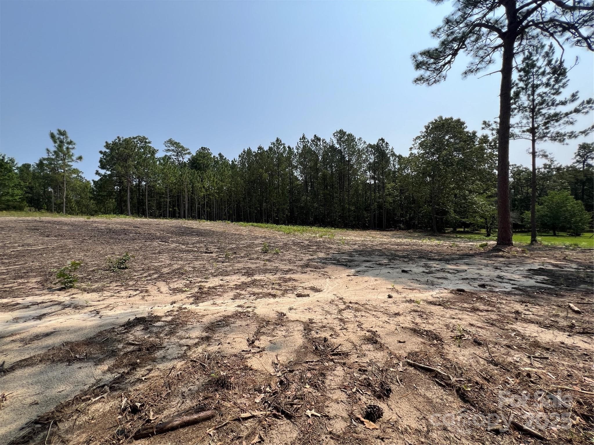 Lot at Hartsville, photo 12 of 24