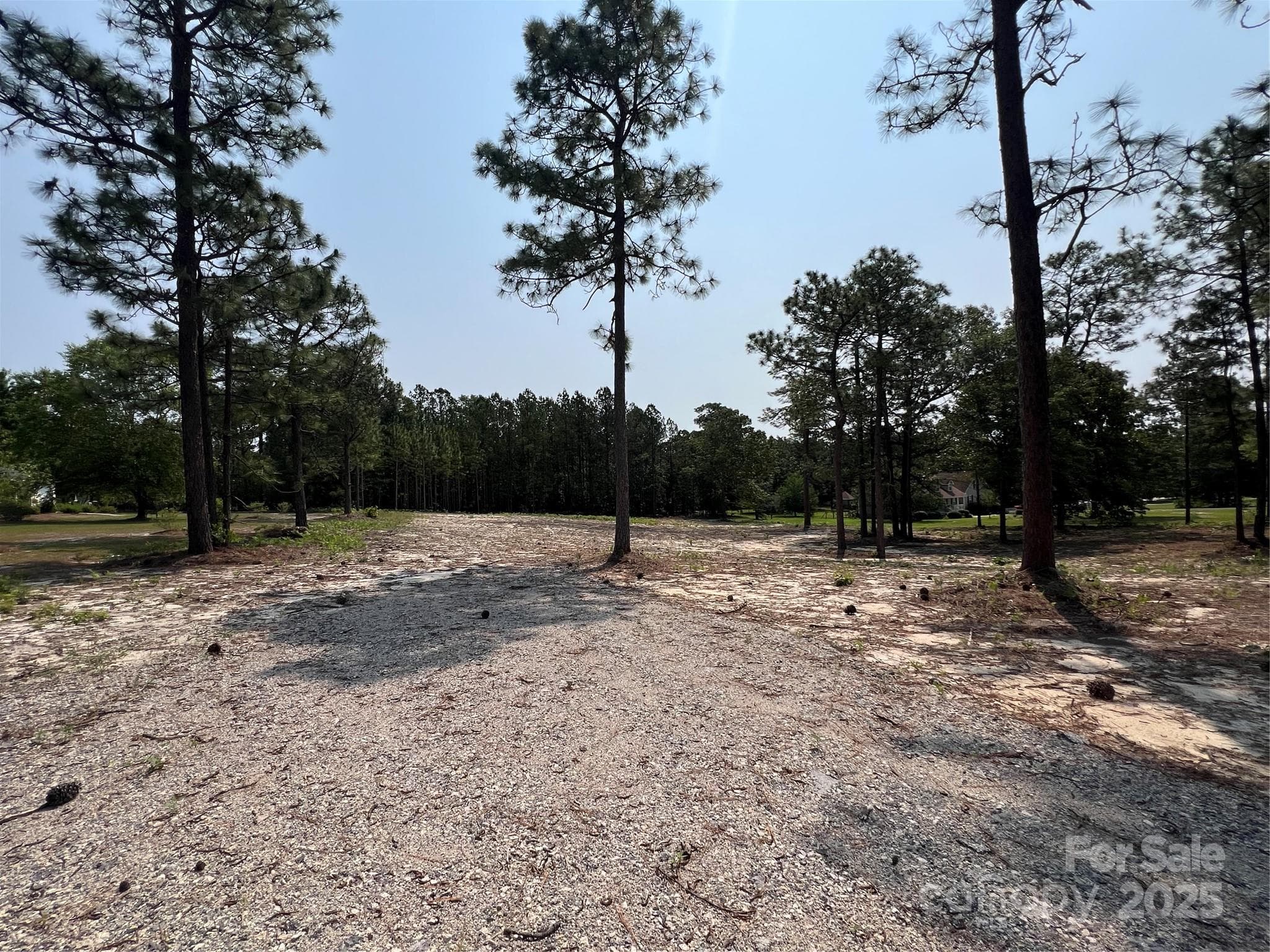 Lot at Hartsville, photo 13 of 24