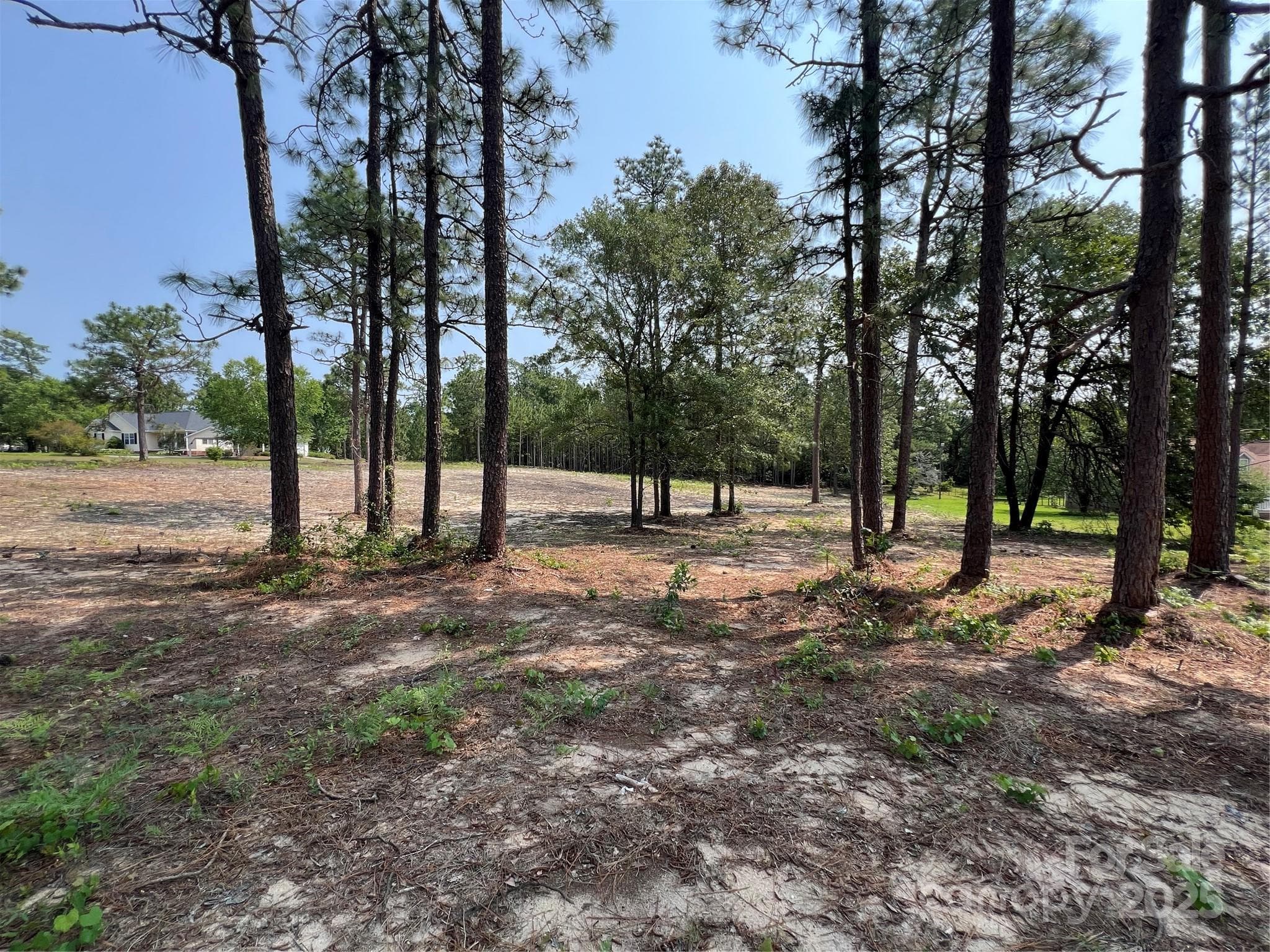 Lot at Hartsville, photo 14 of 24