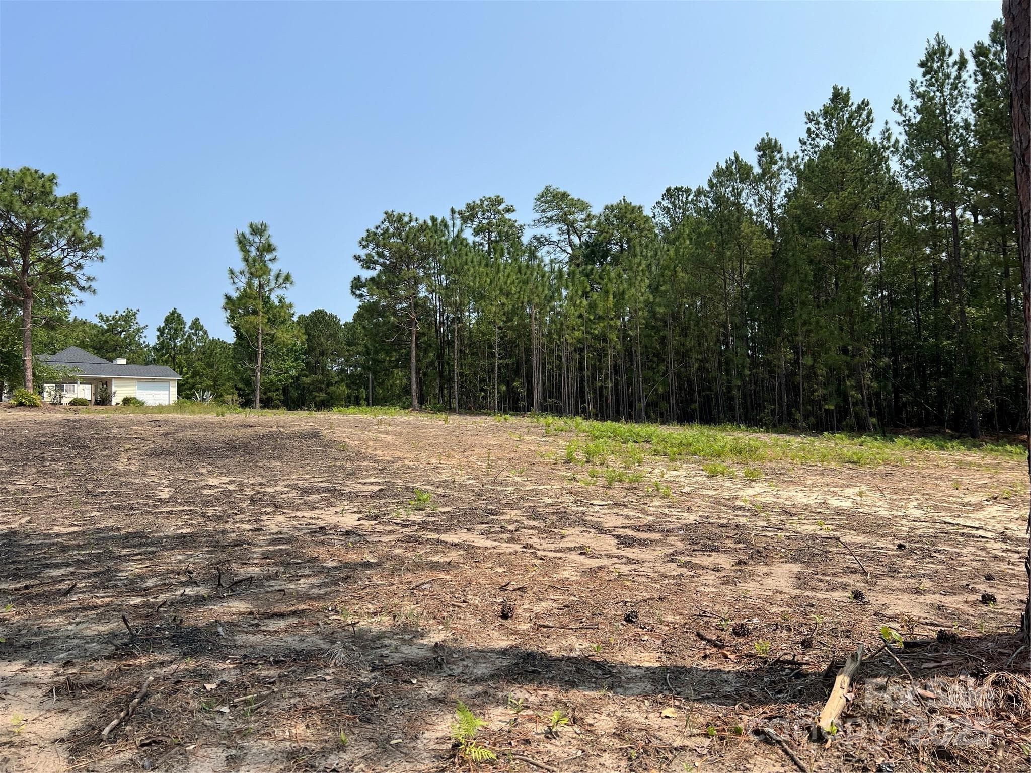 Lot at Hartsville, photo 16 of 24
