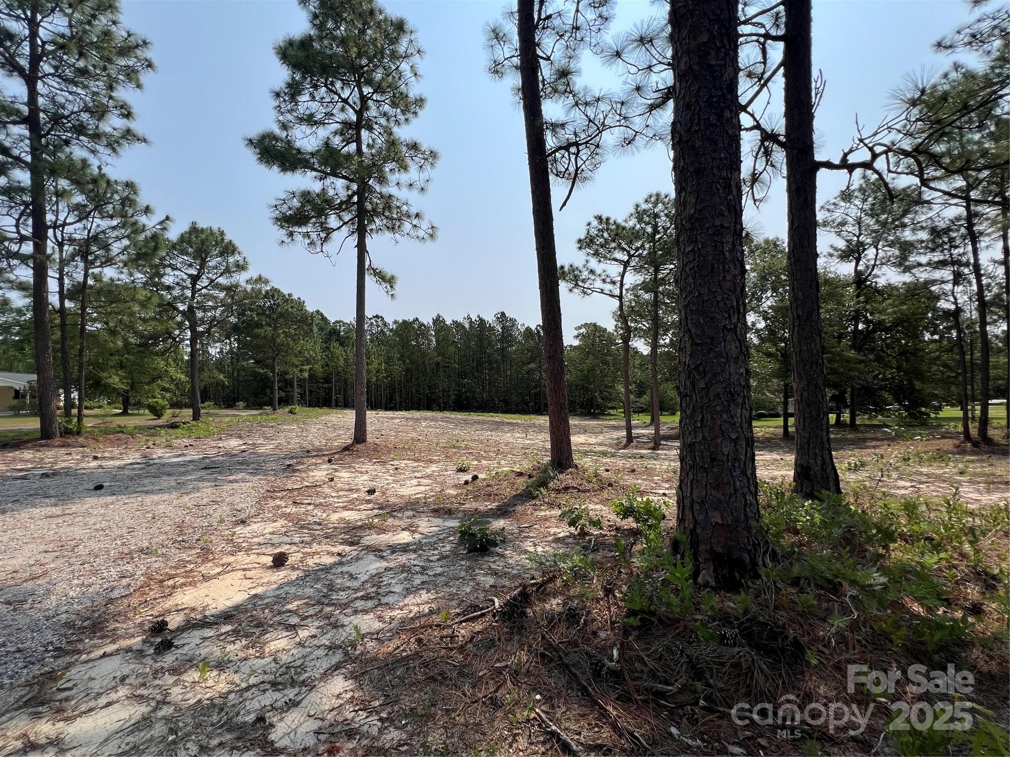 Lot at Hartsville, photo 17 of 24