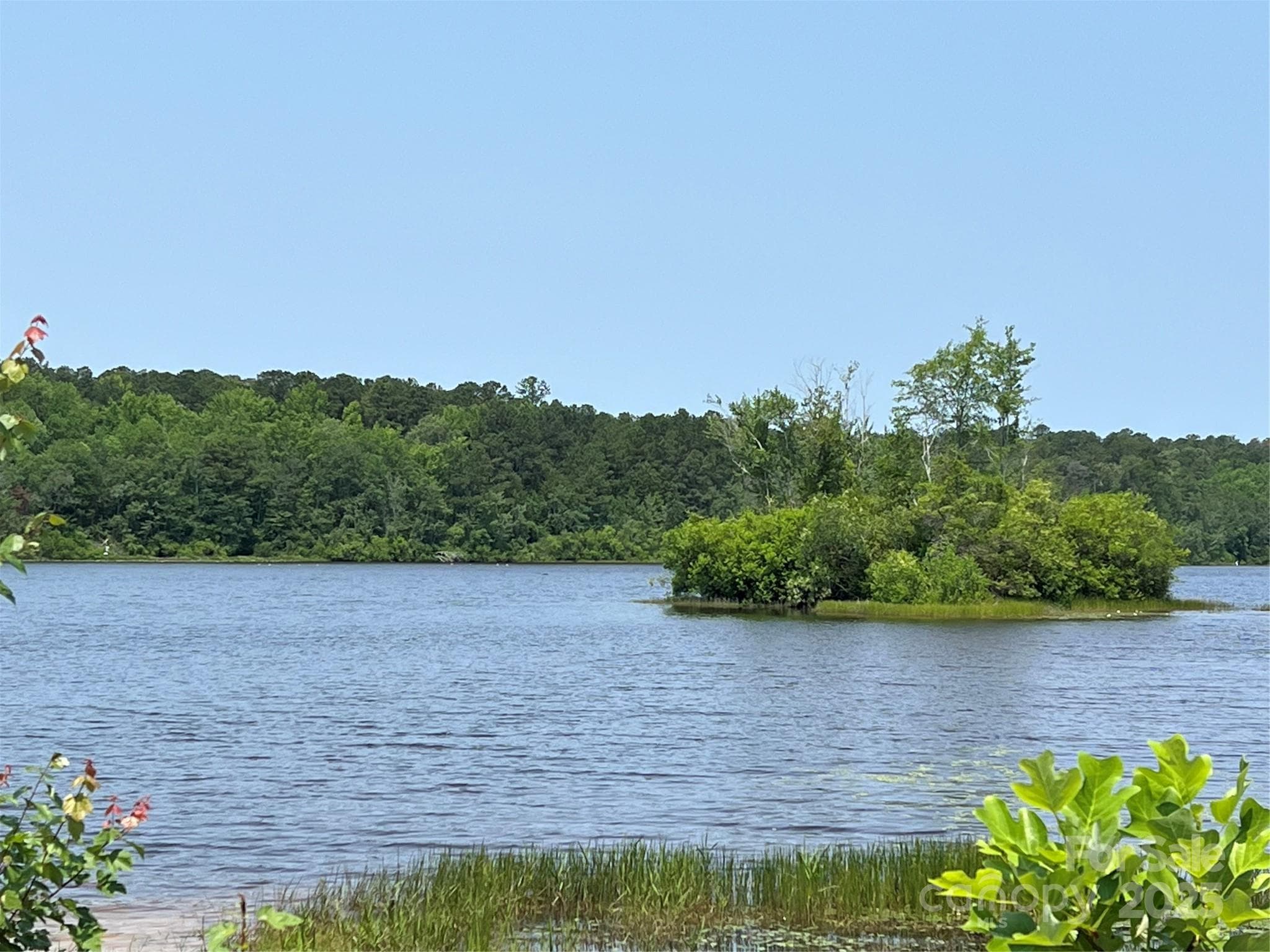 Lot at Hartsville, photo 22 of 24