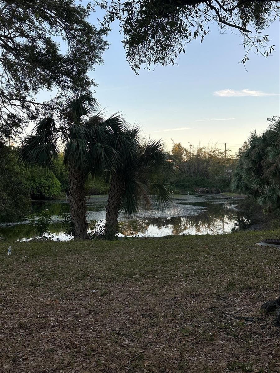 Outdoor - 701 S MADISON AVE #410, CLEARWATER