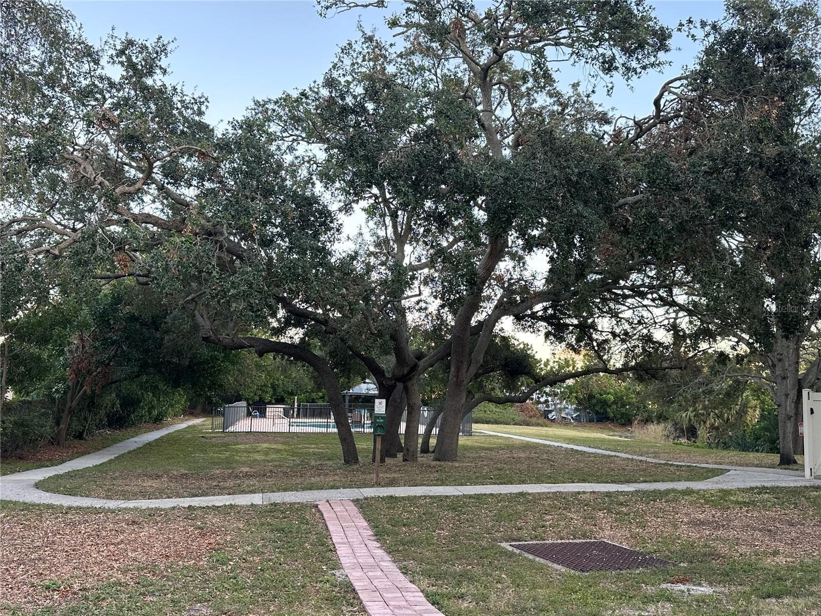 walking path to pool - 701 S MADISON AVE #410, CLEARWATER