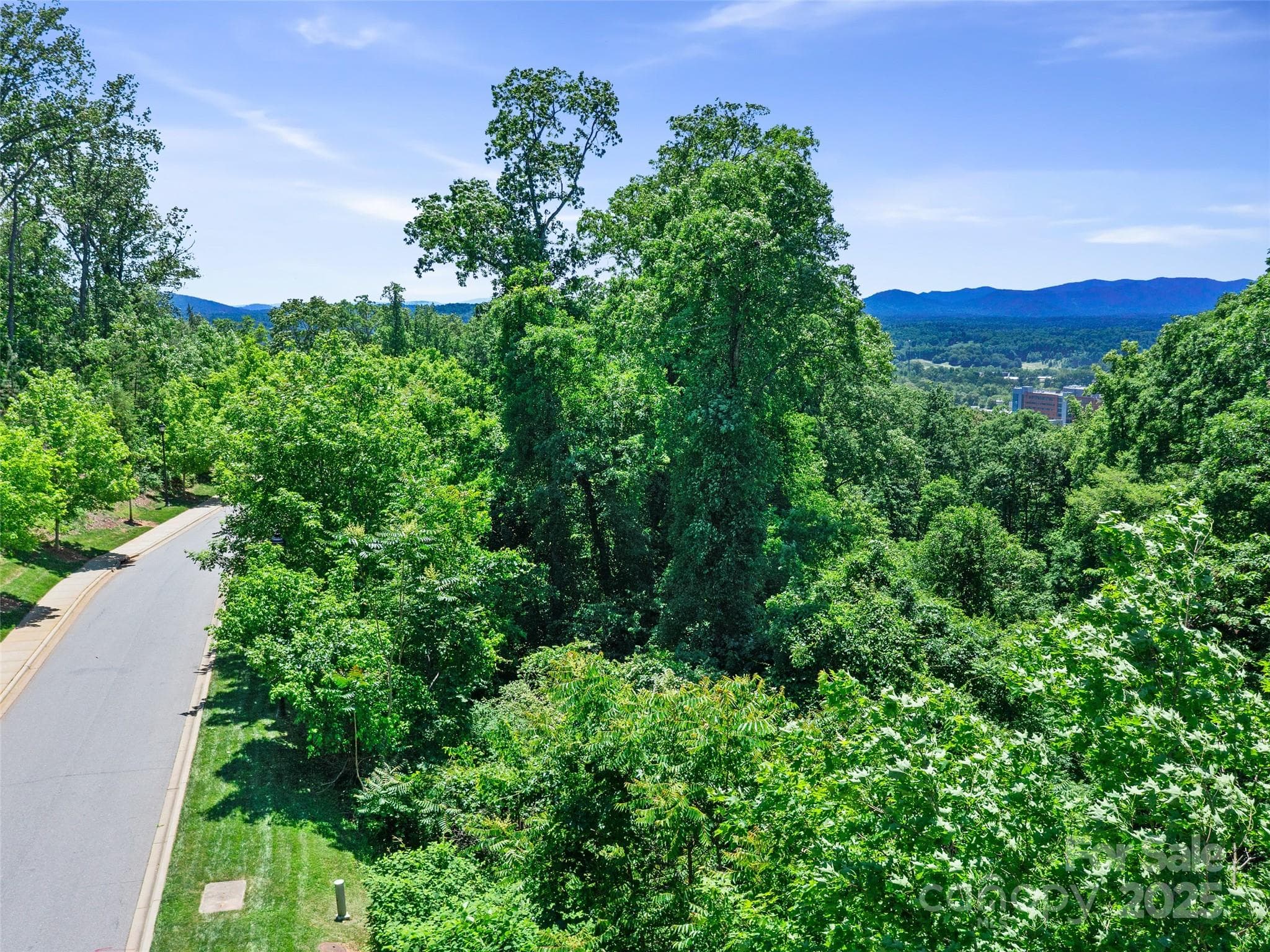 Lot at Asheville, photo 12 of 24