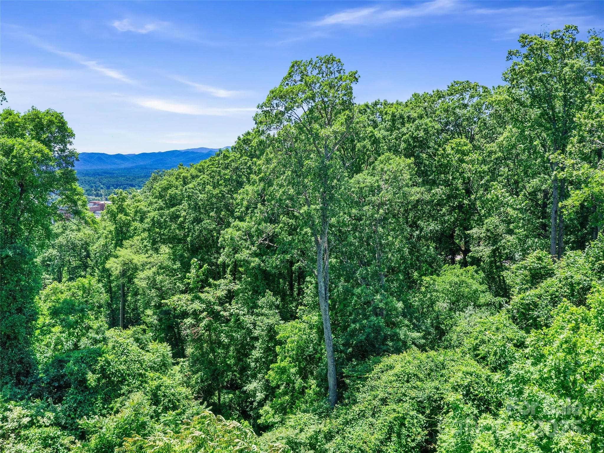 Lot at Asheville, photo 13 of 24