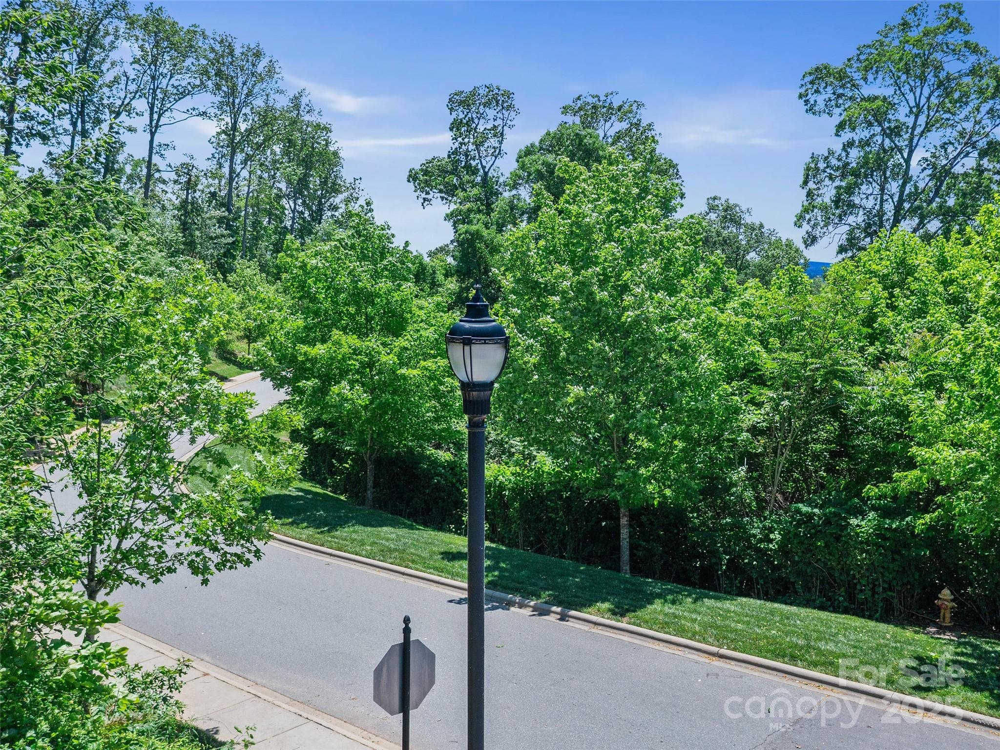 Lot at Asheville, photo 14 of 24