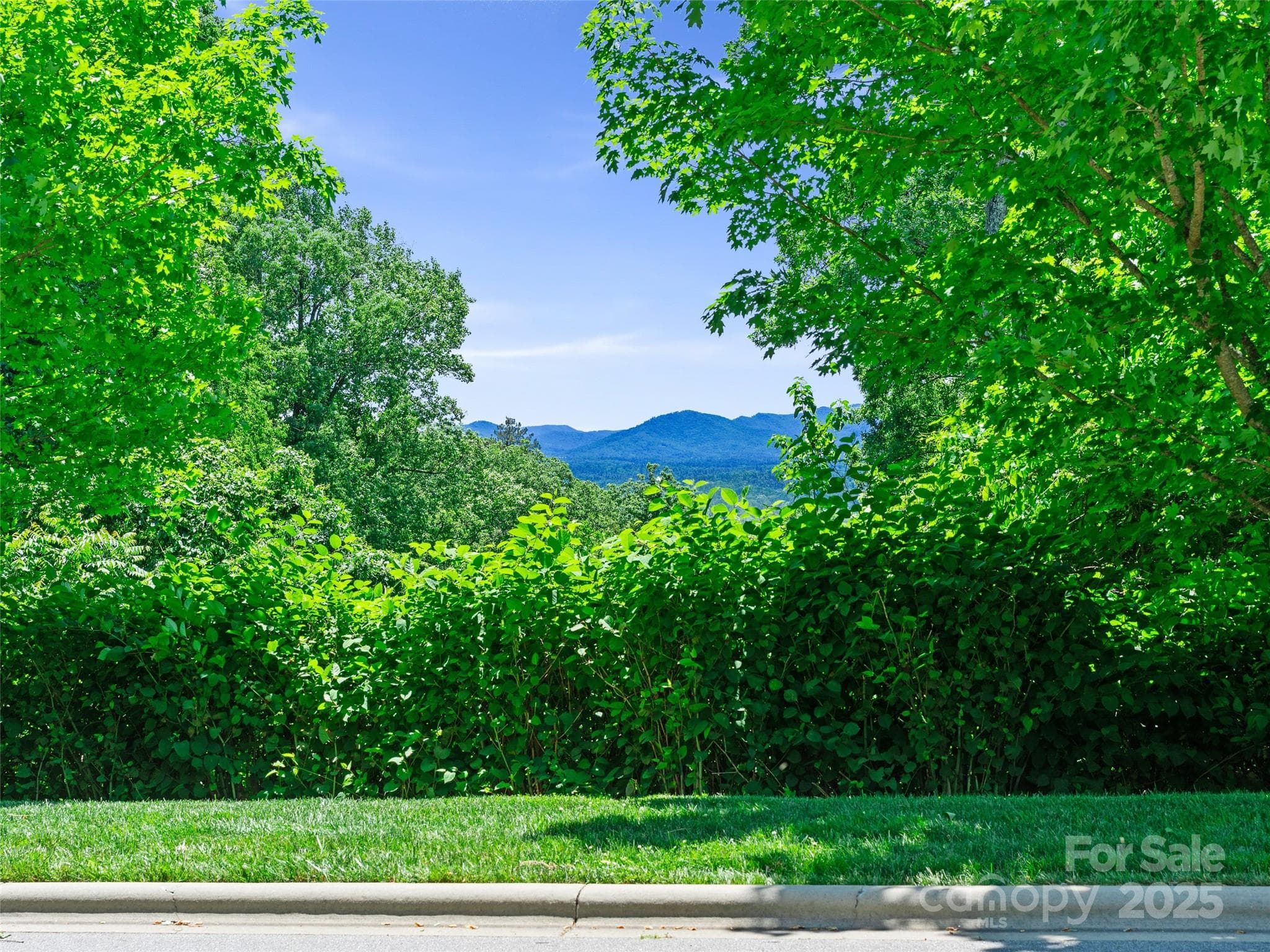 Lot at Asheville, photo 17 of 24