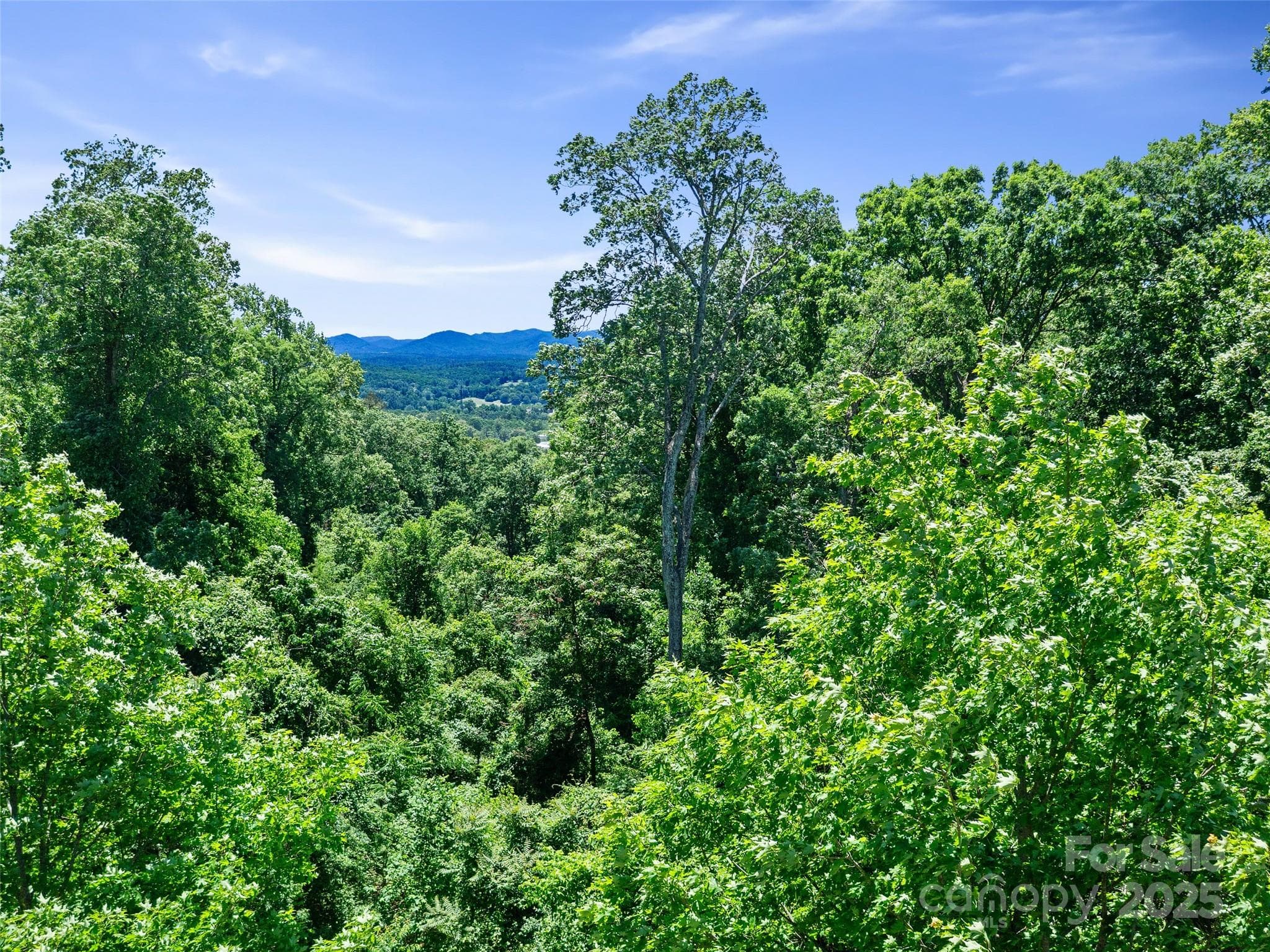 Lot at Asheville, photo 18 of 24