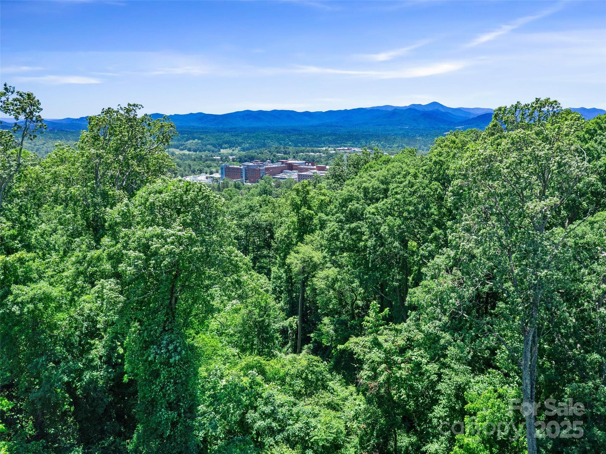 Lot at Asheville, photo 19 of 24