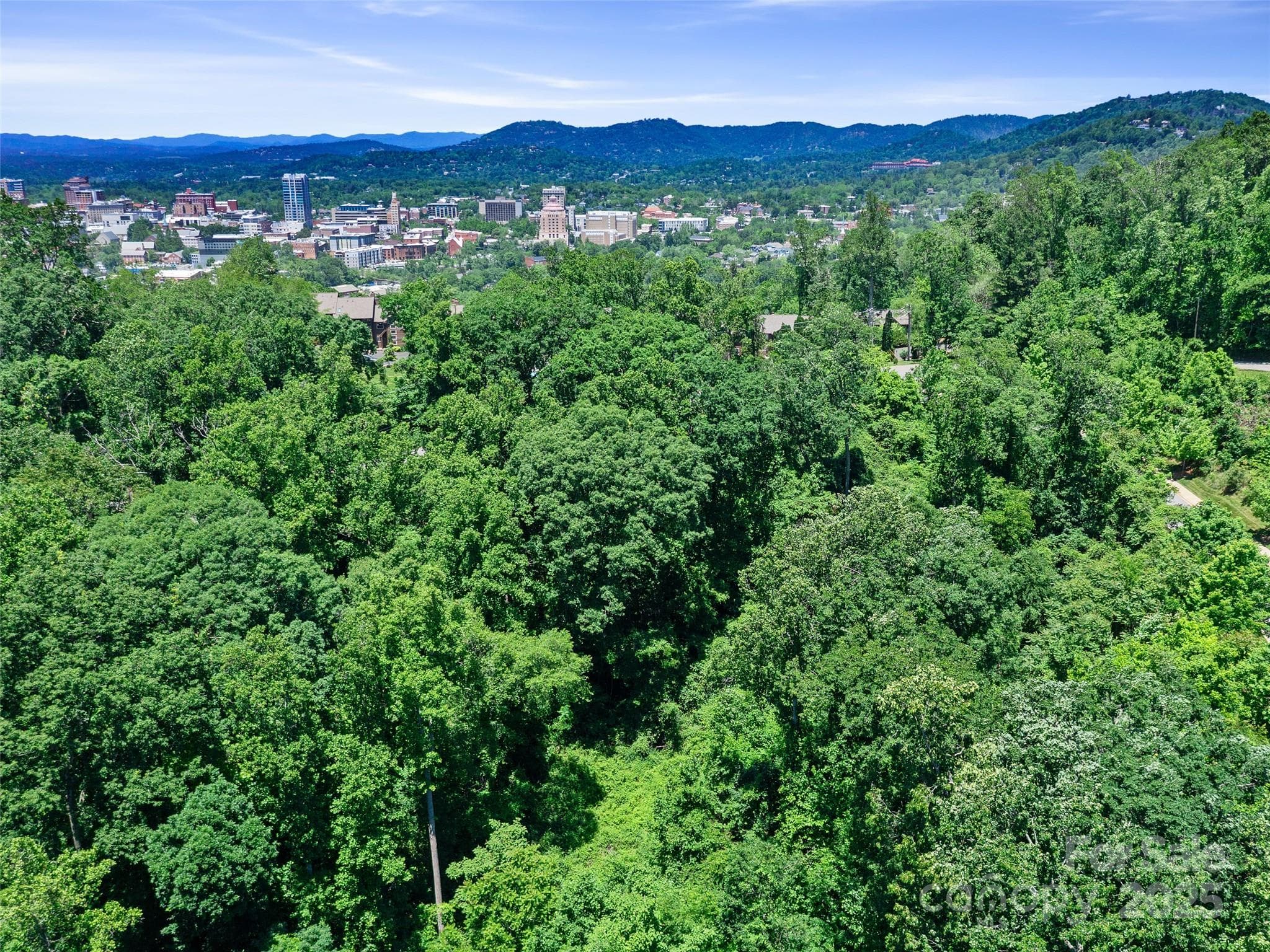 Lot at Asheville, photo 20 of 24