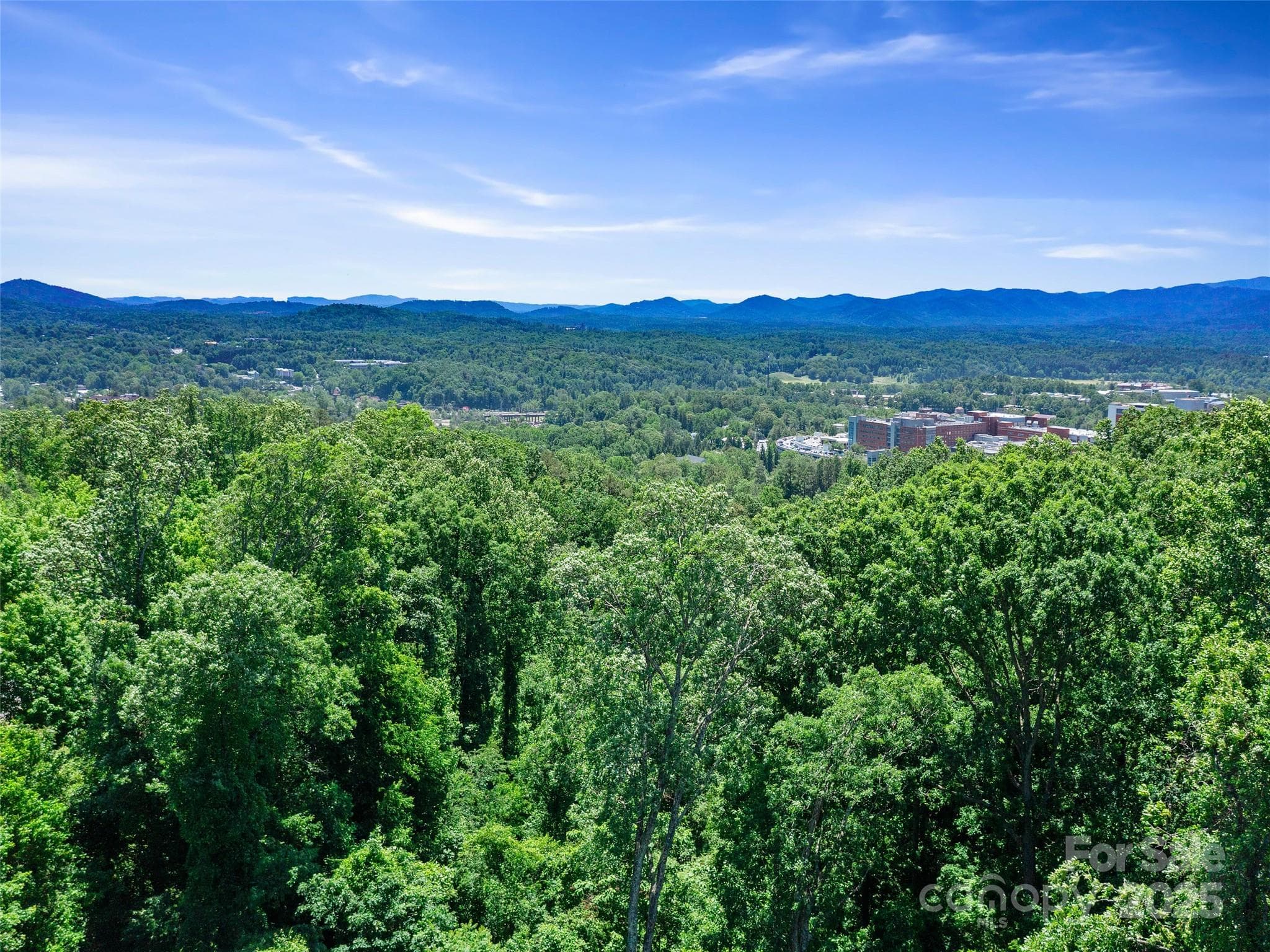 Lot at Asheville, photo 24 of 24