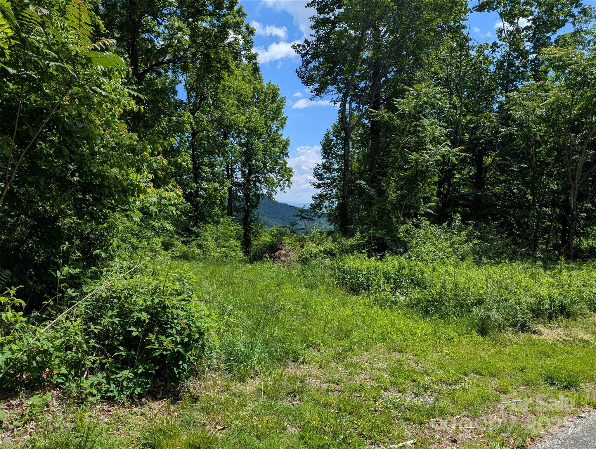 Lot at 67 Creston Drive, Black Mountain, photo 5 of 16