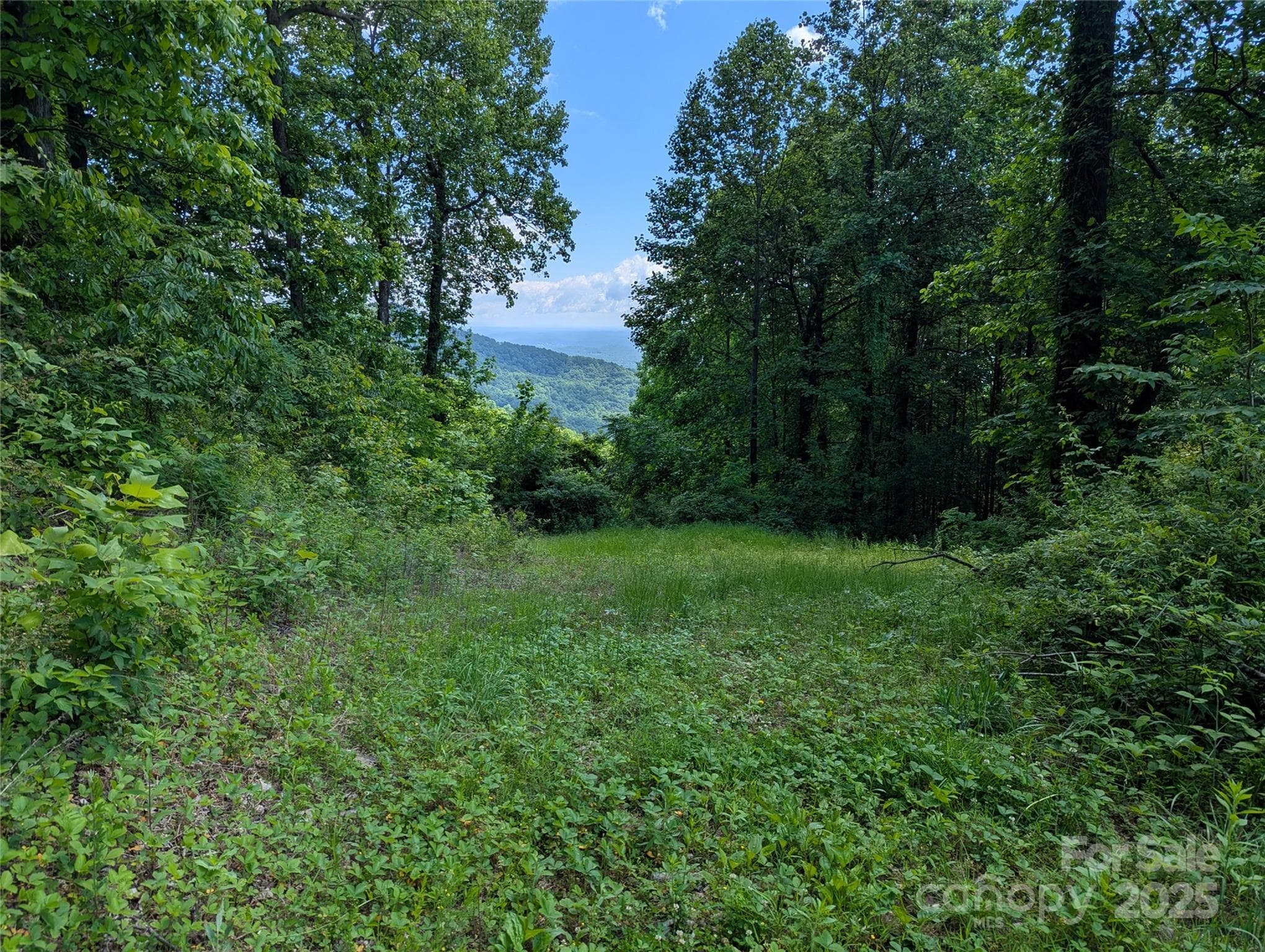 Lot at 67 Creston Drive, Black Mountain, photo 6 of 16