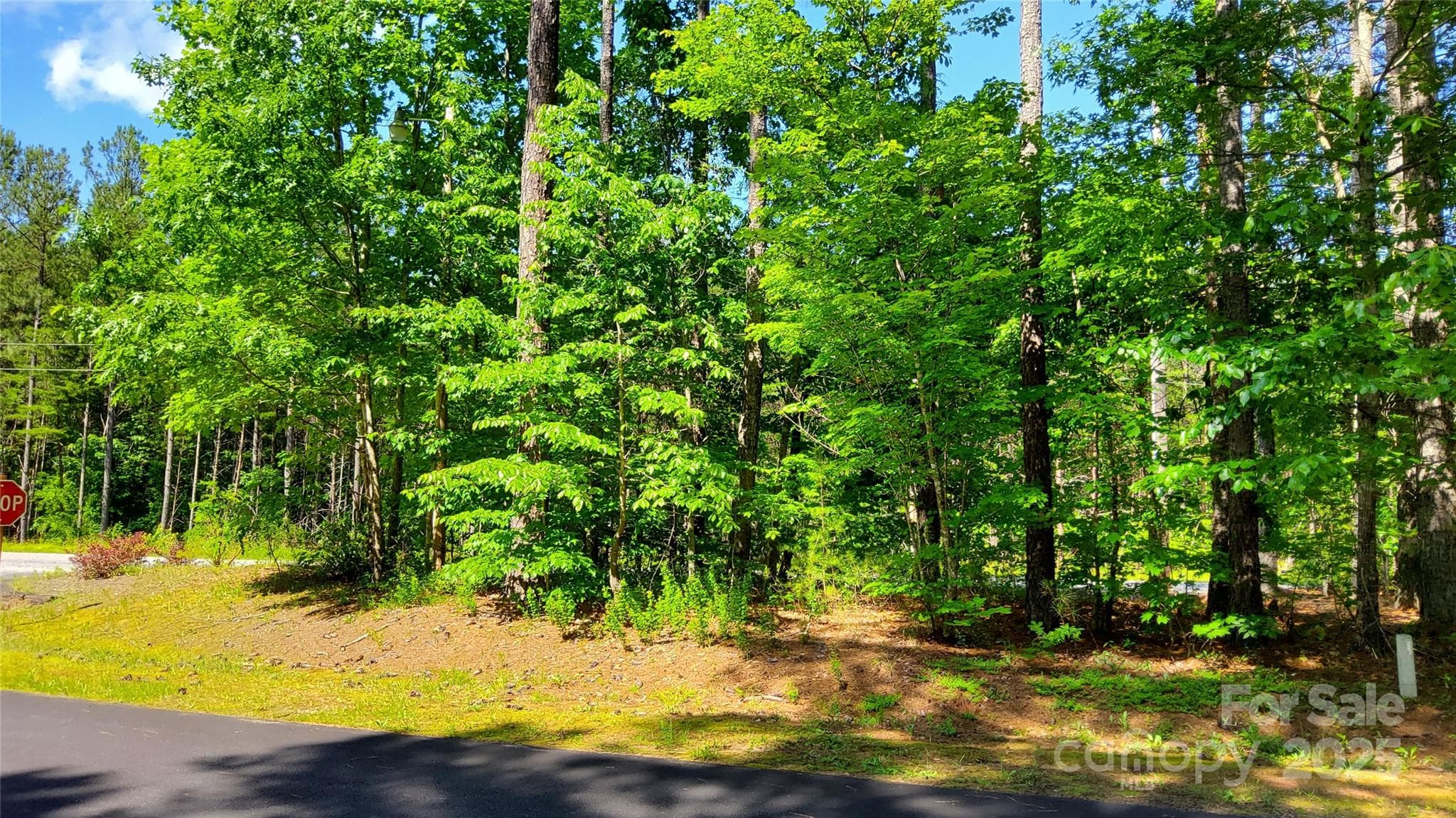 BEGINNING OF LOT 24~~ - Mill Spring