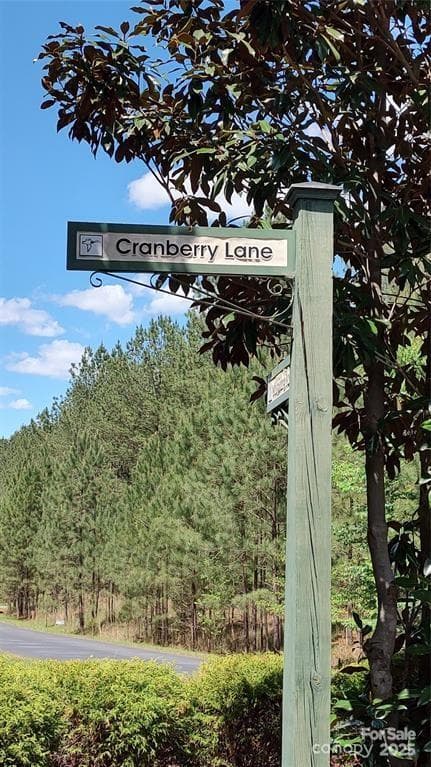 Lot at 105 Cranberry Lane, Mooresboro, photo 3 of 33