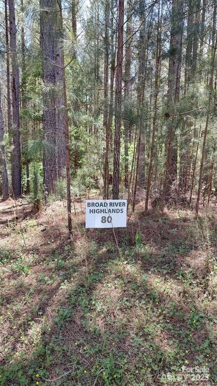 Lot at 105 Cranberry Lane, Mooresboro, photo 4 of 33