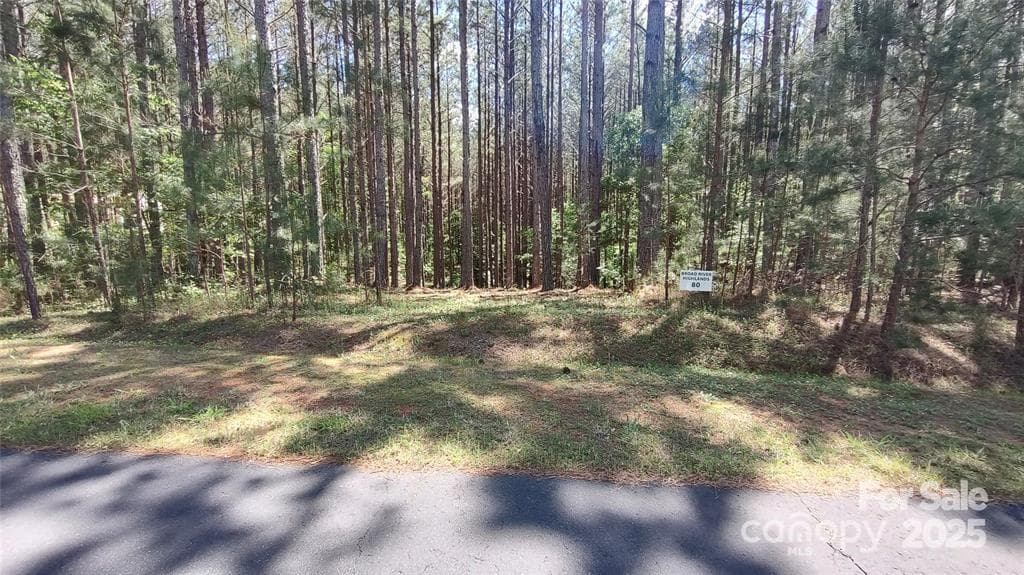 Lot at 105 Cranberry Lane, Mooresboro, photo 5 of 33