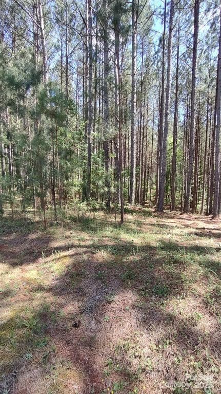 Lot at 105 Cranberry Lane, Mooresboro, photo 6 of 33