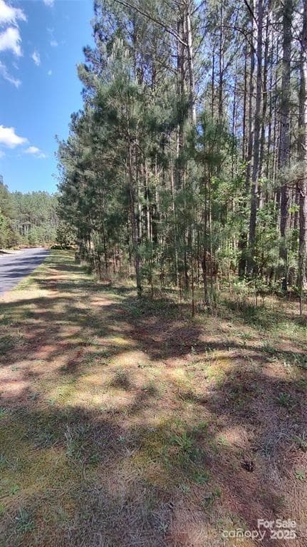 Lot at 105 Cranberry Lane, Mooresboro, photo 7 of 33