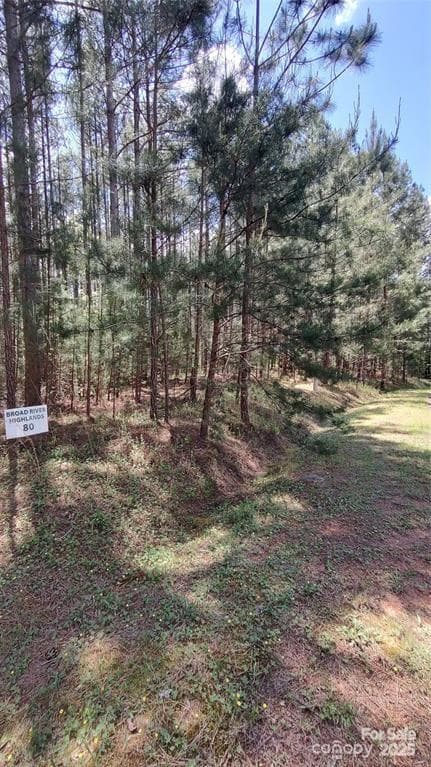 Lot at 105 Cranberry Lane, Mooresboro, photo 8 of 33