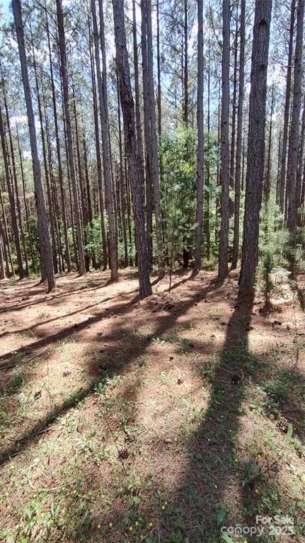 Lot at 105 Cranberry Lane, Mooresboro, photo 9 of 33
