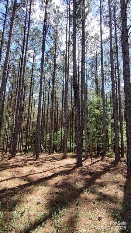 Lot at 105 Cranberry Lane, Mooresboro, photo 10 of 33