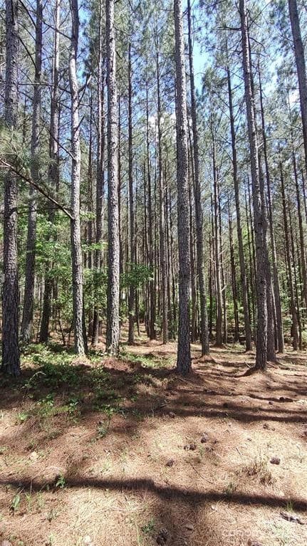 Lot at 105 Cranberry Lane, Mooresboro, photo 11 of 33