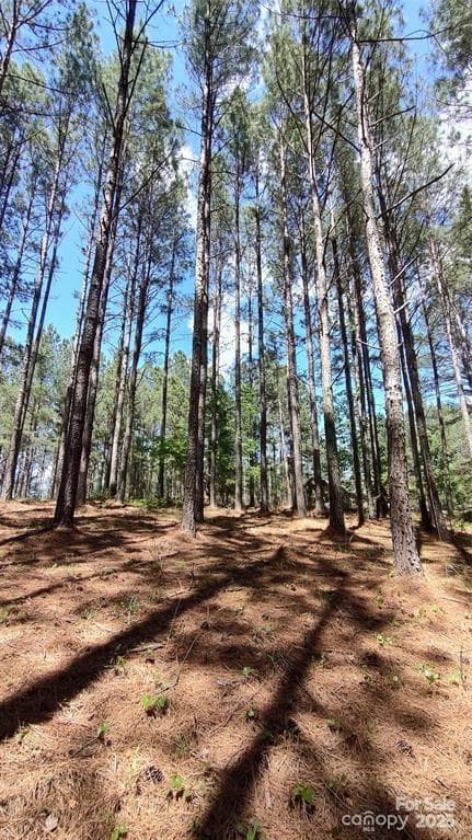 Lot at 105 Cranberry Lane, Mooresboro, photo 12 of 33