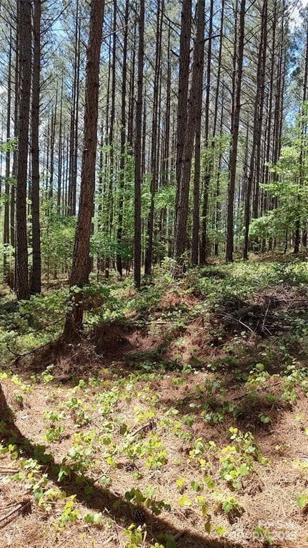 Lot at 105 Cranberry Lane, Mooresboro, photo 13 of 33