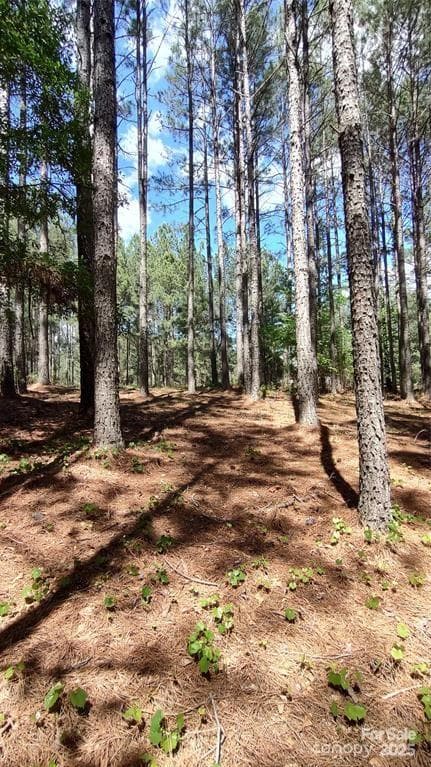 Lot at 105 Cranberry Lane, Mooresboro, photo 14 of 33