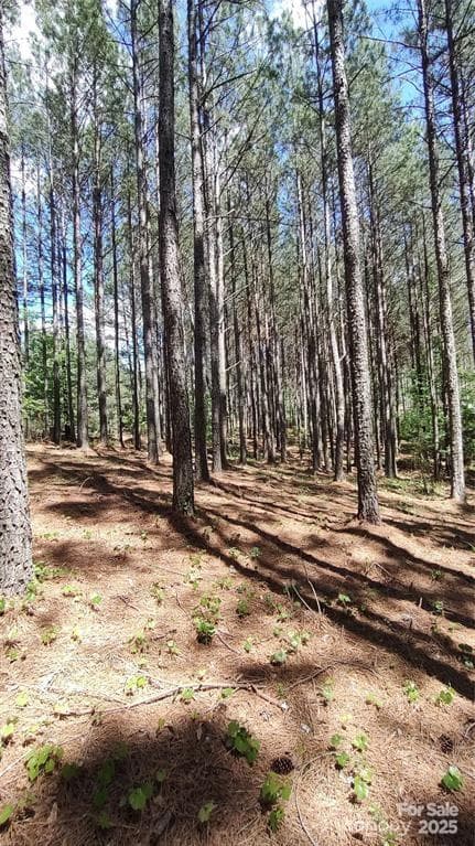 Lot at 105 Cranberry Lane, Mooresboro, photo 15 of 33