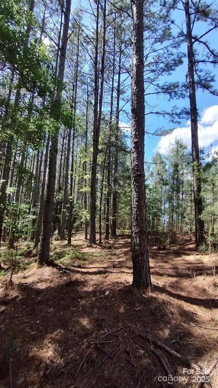 Lot at 105 Cranberry Lane, Mooresboro, photo 16 of 33