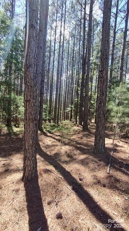 Lot at 105 Cranberry Lane, Mooresboro, photo 18 of 33